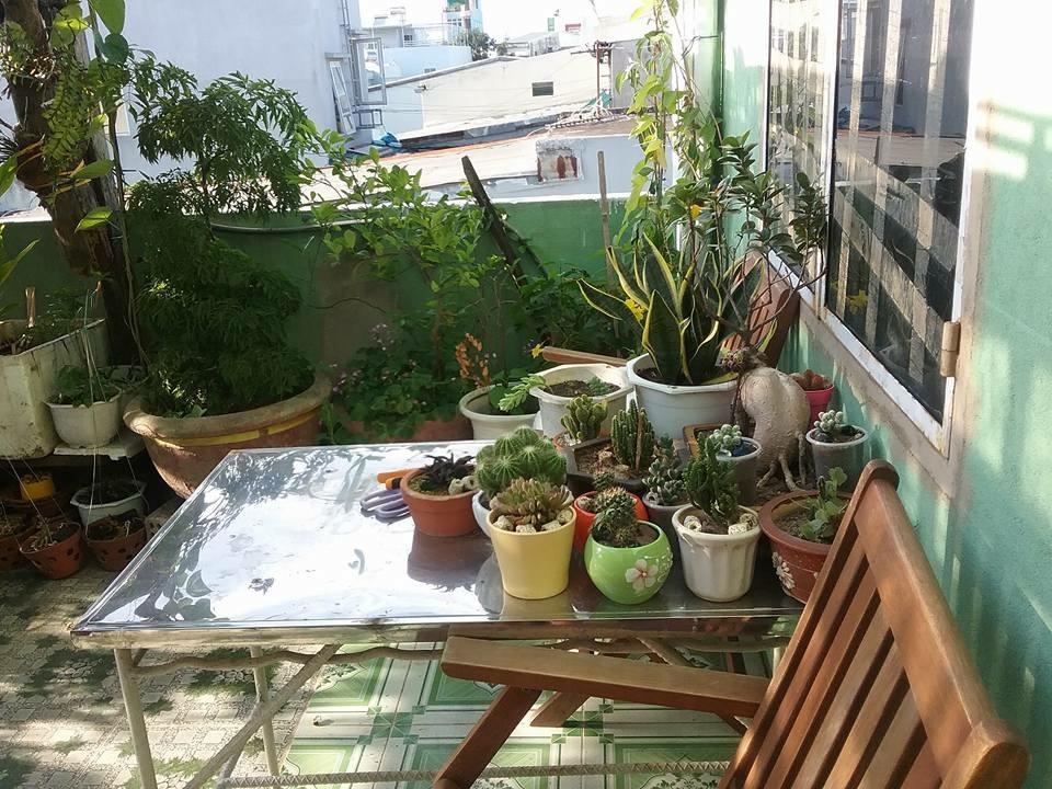 Nha Minh Homestay Da Nang Dış mekan fotoğraf
