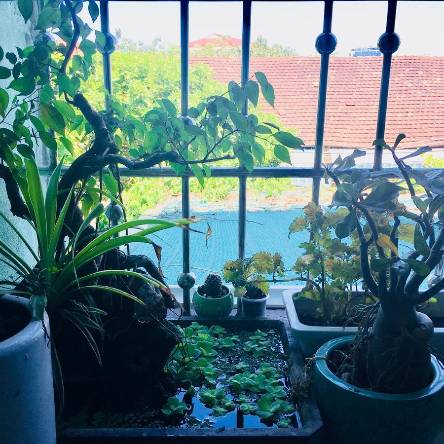 Nha Minh Homestay Da Nang Dış mekan fotoğraf