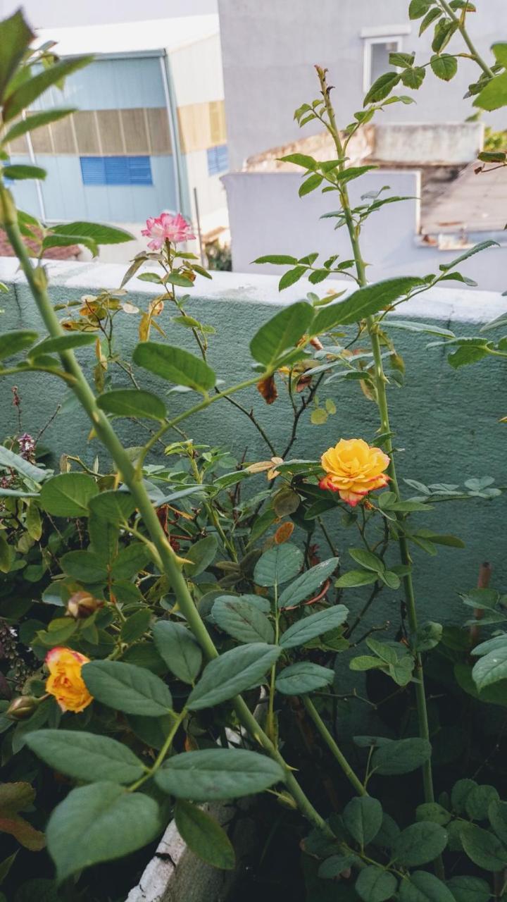 Nha Minh Homestay Da Nang Dış mekan fotoğraf